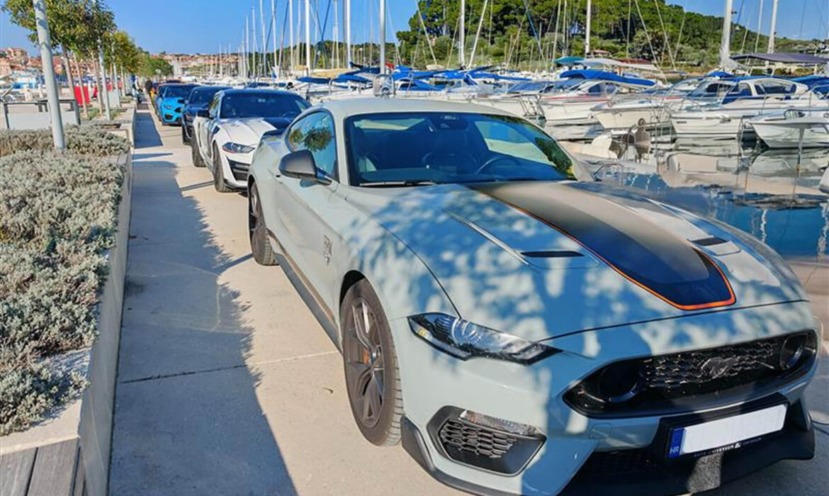 American Muscle Cars 1 (1)