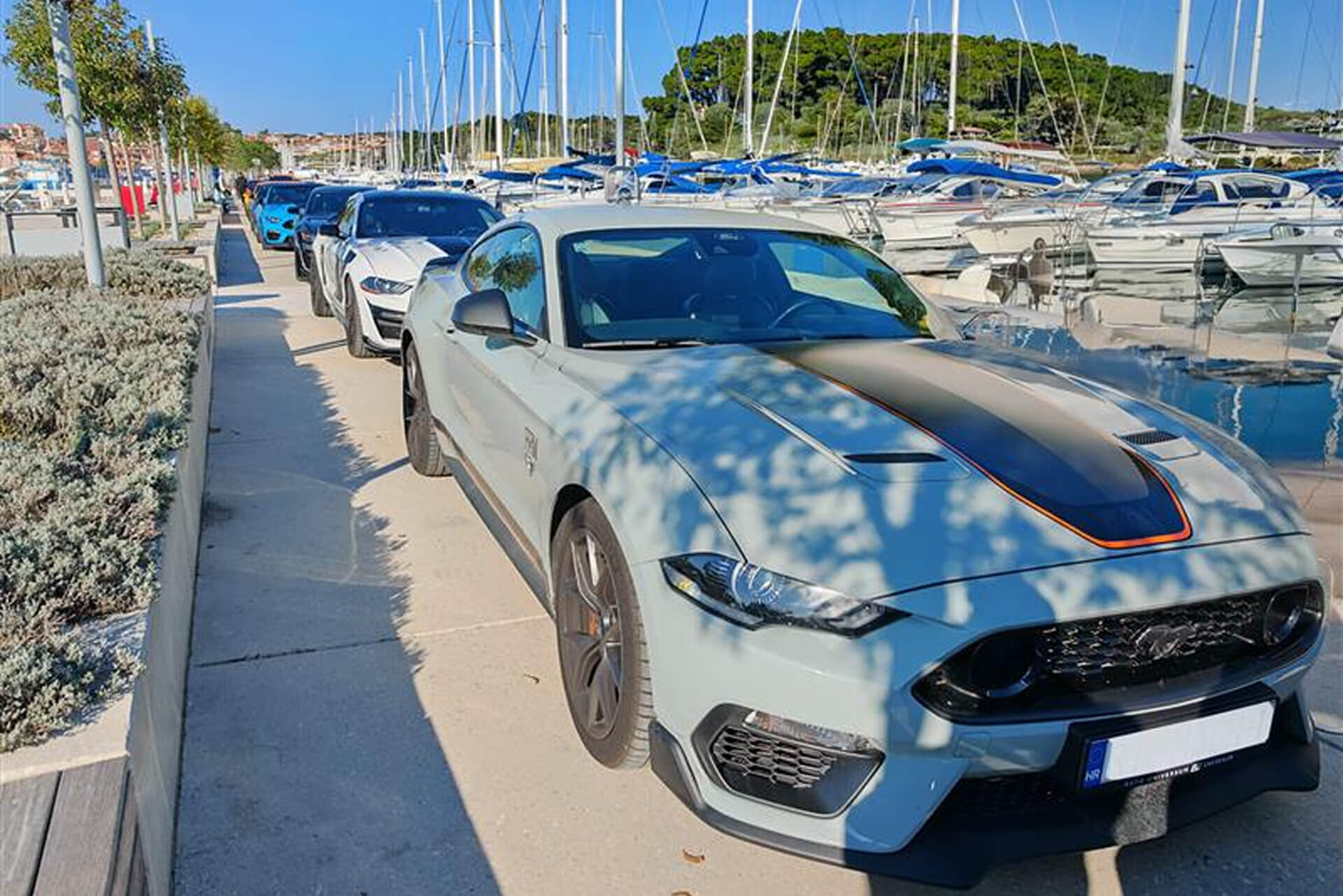 American Muscle Cars 1 (1)